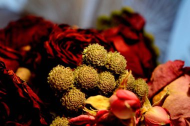 kırmızı gül ve çiçekler