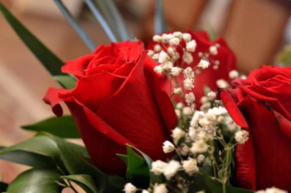 Belles Roses Rouges Une Combinaison Beauté Naturel Subtil — Photo