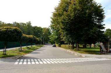 yol işaretleri. yaya geçidi. asfalt üzerinde beyaz şerit.