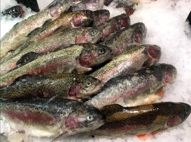 Sana yüzen balık yakalamak. Balık deposundan parçası.  