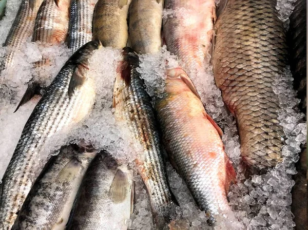 Pegue Peixe Que Flutua Para Você Fragmento Loja Peixe — Fotografia de Stock