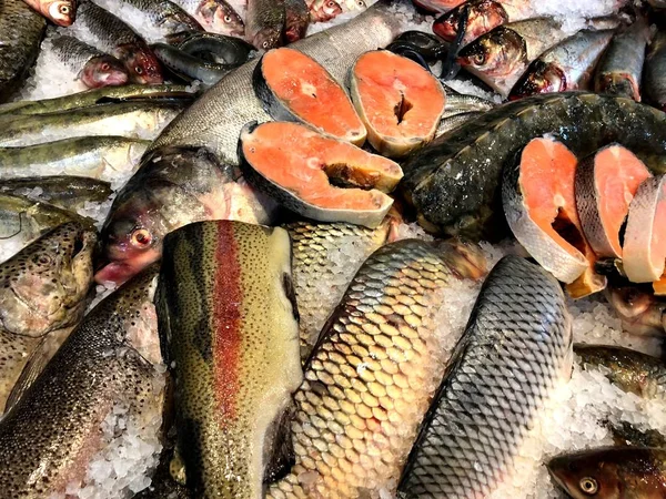 Pegue Peixe Que Flutua Para Você Fragmento Loja Peixe — Fotografia de Stock