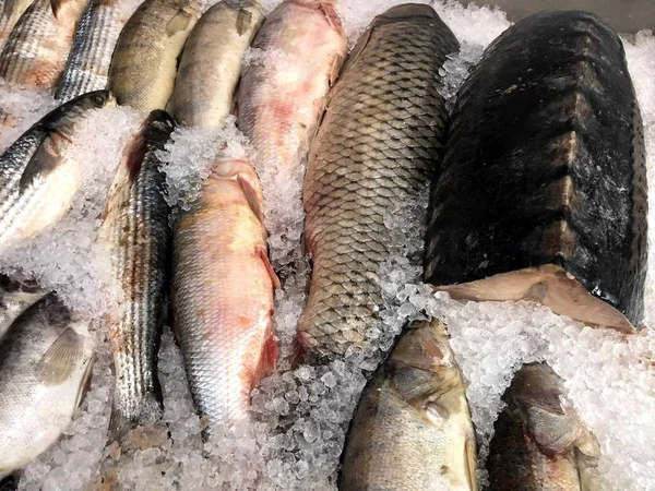 Pegue Peixe Que Flutua Para Você Fragmento Loja Peixe — Fotografia de Stock