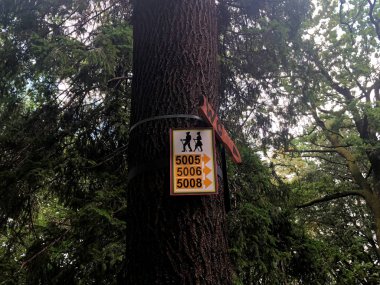 Gösterge işaretleri parkta yürüyüş spor için. Ve tuvalet göstergesi ile de