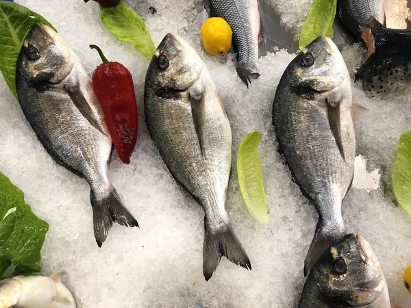 Maravilhosamente Colocado Peixes Fragmento Loja Peixe — Fotografia de Stock