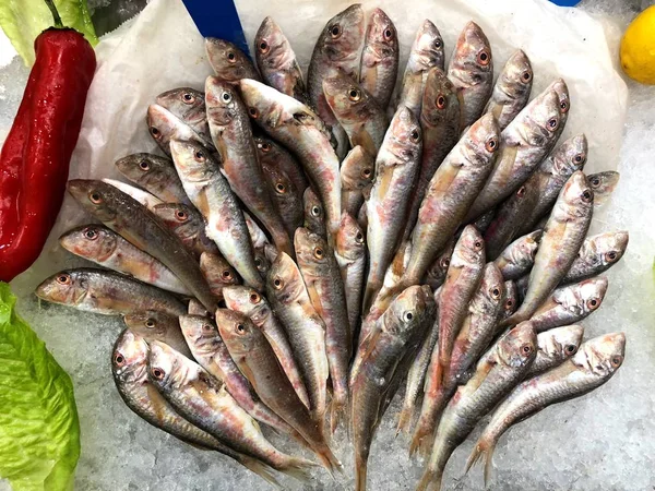 Maravilhosamente Colocado Peixes Fragmento Loja Peixe — Fotografia de Stock