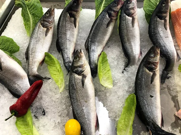 Maravilhosamente Colocado Peixes Fragmento Loja Peixe — Fotografia de Stock