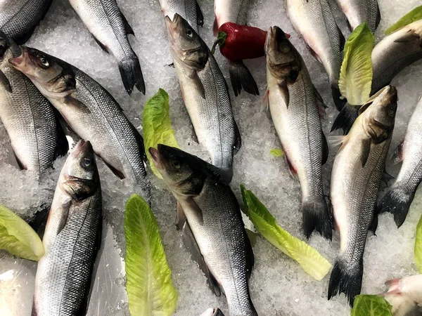 Beautifully Laid Fishes Fragment Fish Store — Stock Photo, Image