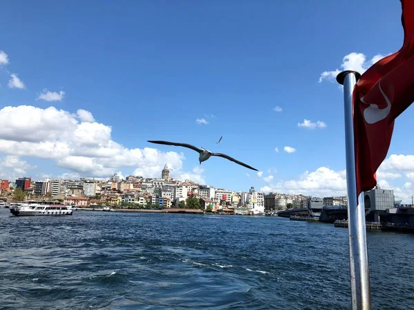 Pengelolaan Bosporus Burung Camar Bendera Turki Pemandangan Indah Istanbul — Stok Foto