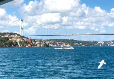 Martılar Boğaziçi Boğazı üzerinde. Gemi penceresinden görüntüleyin. Istanbul
