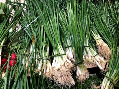 Green onions with roots.  Natural vegetables, natural vitamins. A living fragment from a fruit and vegetable store. clipart