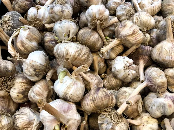 Natural fruits, vegetables, natural vitamins. Garlic. For sale in the market. A living fragment from a fruit and vegetable store.