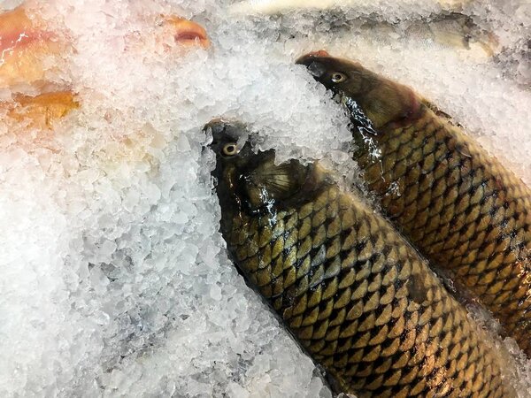 Beautifully laid fishes in ice. Fragment from the fish store 