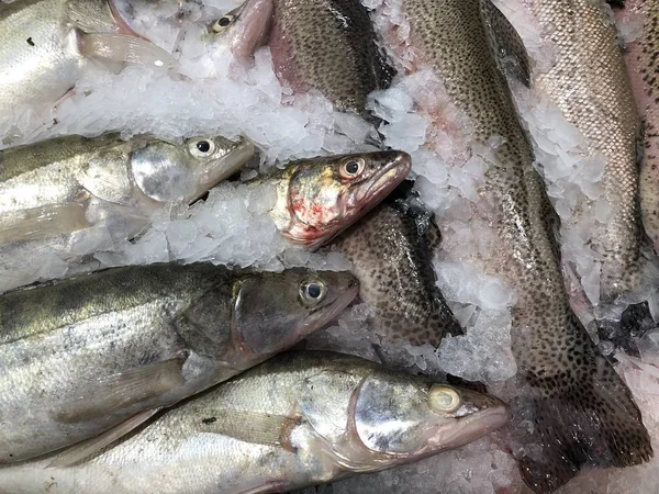 Maravilhosamente Colocado Peixe Peixe Fresco Fragmento Uma Loja Peixe — Fotografia de Stock