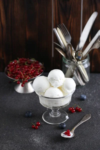 white ice cream with chocolate and red currants