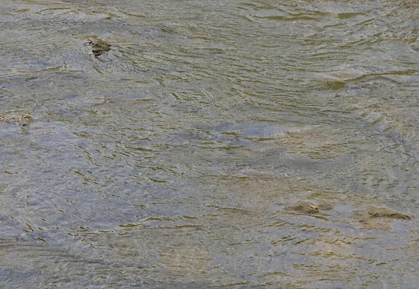 Bir nehrin sakin ve pürüzsüz akıntısı, doğadaki barışçıl su hareketini yansıtıyor..