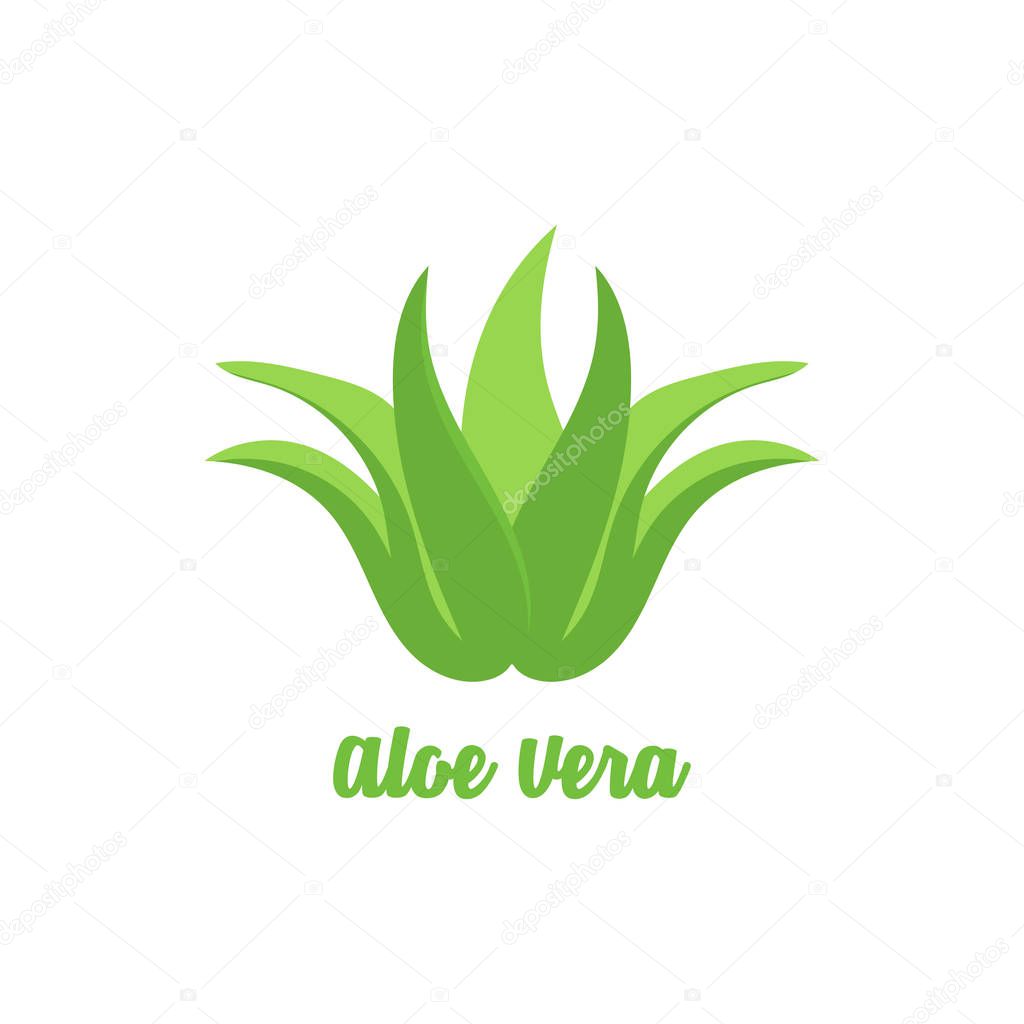 Aloe vera leaf icon in a flat design.