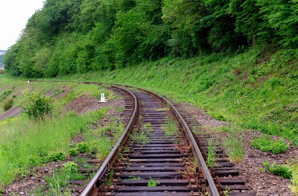 Ormanda Uyuyan Ahşap Demiryolu — Stok fotoğraf