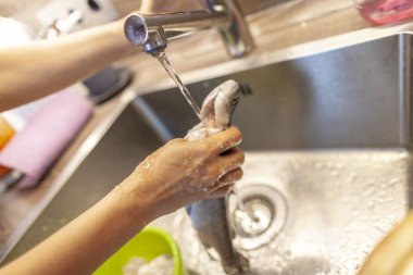 Bir insan bir taze balık su altında yıkar