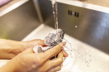 Bir insan bir taze balık su altında yıkar