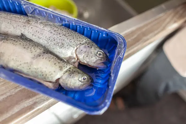 Peixe Fresco Encontra Pacote Azul — Fotografia de Stock