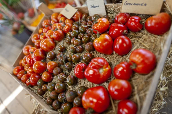 Diferentes Variedades Tomate Jaz Uma Cesta — Fotografia de Stock