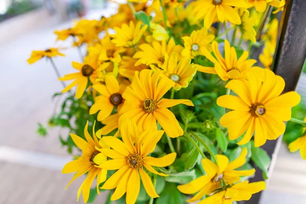 花瓶の花に黄色のマリーゴールドの花 — ストック写真