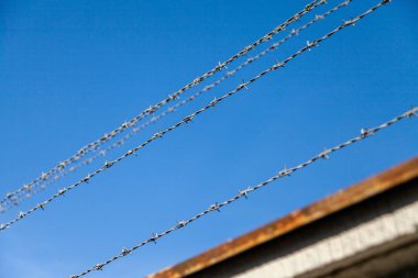 Barb tel mavi gökyüzünün önünde