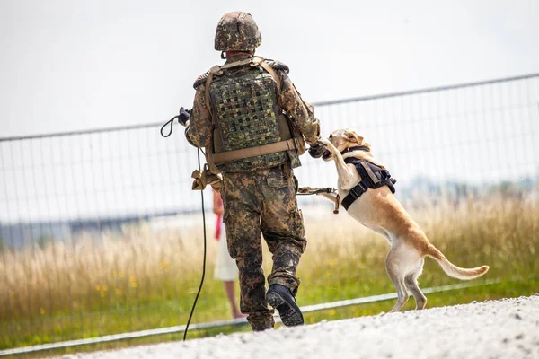 German soldier with a dog on a fence