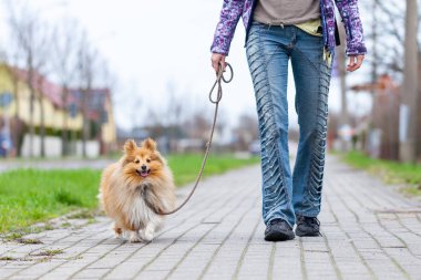 Bir kadın onu köpek tasma açar.