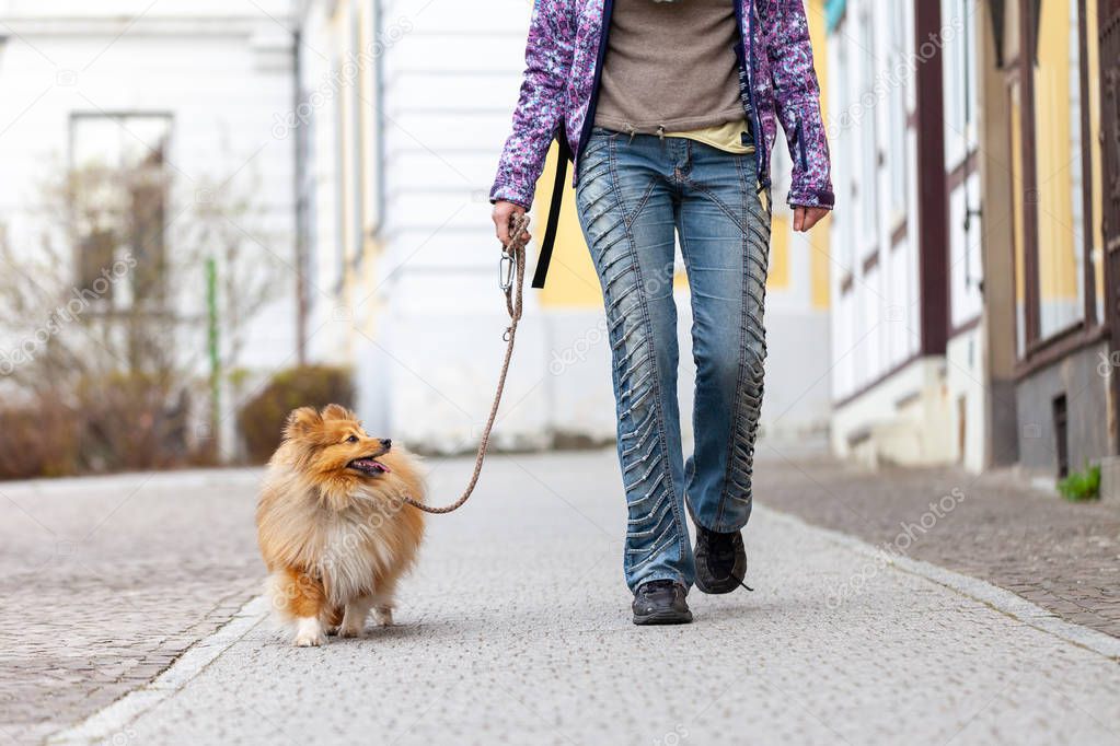 A woman leads her dog on a leash