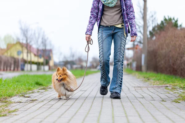 A woman leads her dog on a leash