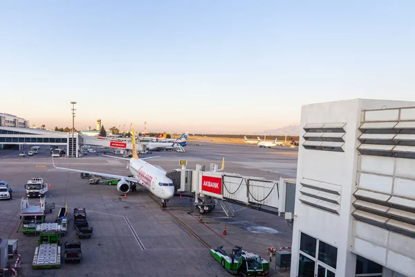 Antalya Turkiet Juni 2019 Boing 737 Från Pegasus Airlines Står — Stockfoto