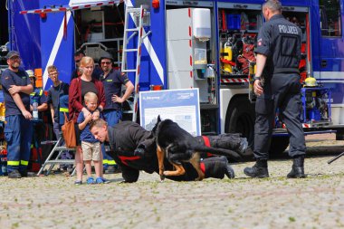 Peine / Almanya - Haziran 22, 2019: Bir polis çoban köpeği ile Alman polis köpek işleyicisi halka açık etkinlikte bir köpek gösteri gösterir, Peine üniforma günü.