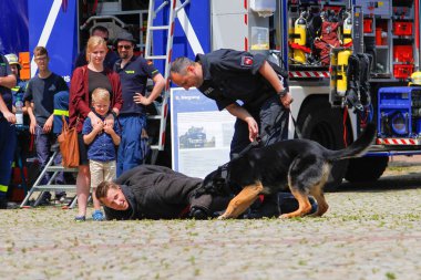 Peine / Almanya - Haziran 22, 2019: Bir polis çoban köpeği ile Alman polis köpek işleyicisi halka açık etkinlikte bir köpek gösteri gösterir, Peine üniforma günü.