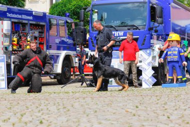 Peine / Almanya - Haziran 22, 2019: Bir polis çoban köpeği ile Alman polis köpek işleyicisi halka açık etkinlikte bir köpek gösteri gösterir, Peine üniforma günü.