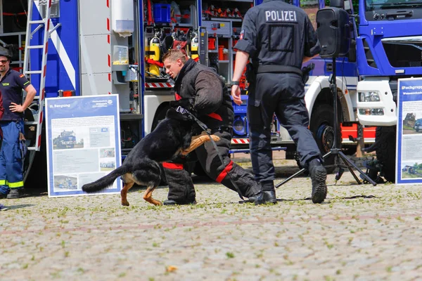 Peine Tyskland Juni 2019 Tyska Polisen Hund Hanterare Med Polis — Stockfoto