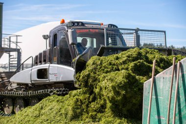 BAVARIA / GERMANY - 20 AĞUSTOS 2020: Prinoth Leitwolf kar kedisi, biyogaz bitkisinin filizini hazırlıyor