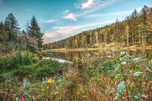 Schöne Bayerische Landschaft Einem See Bayern — Stockfoto