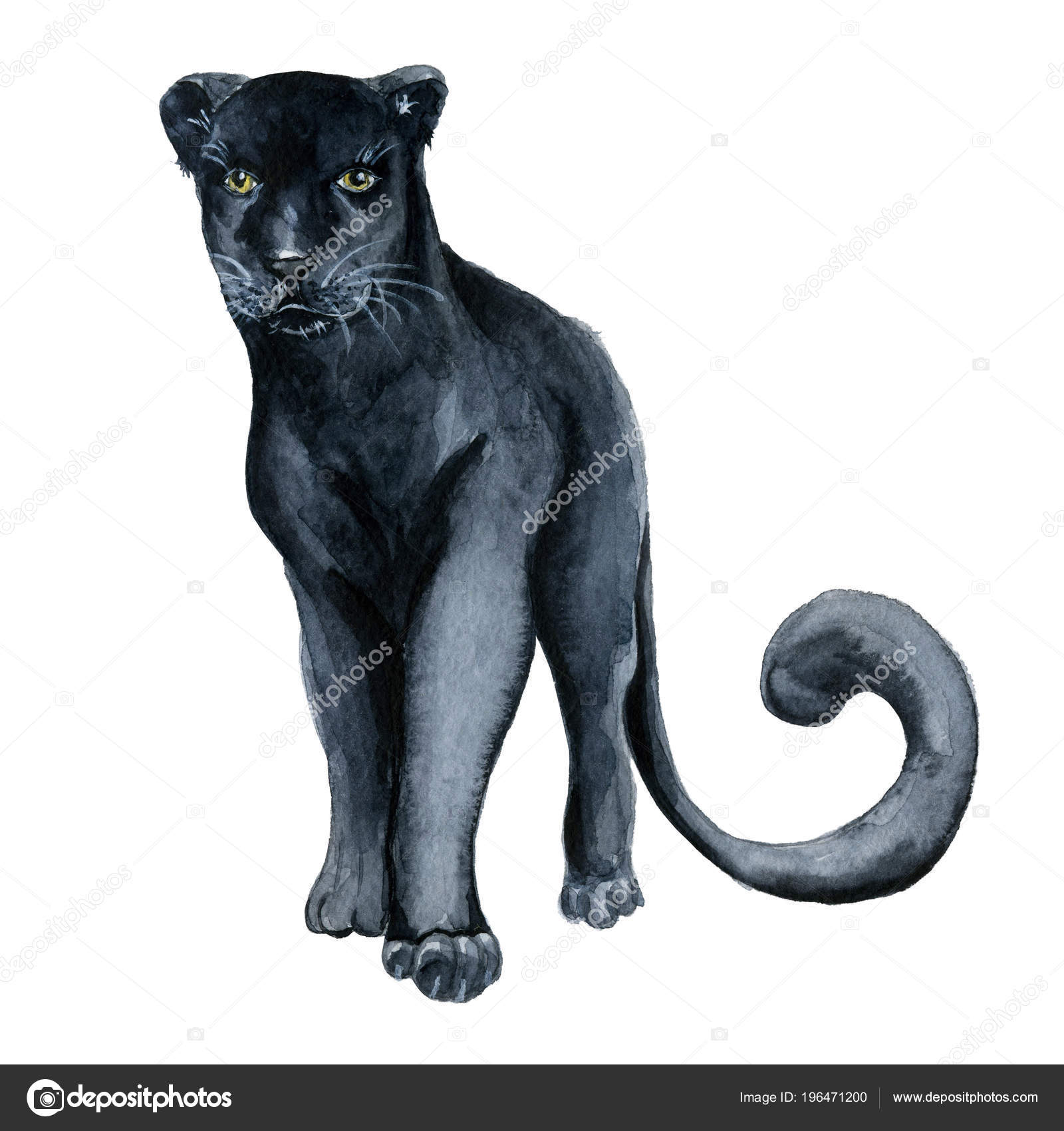 Pantera negra dibujo fotos de stock, imágenes de Pantera negra dibujo sin royalties | Depositphotos Pantera negra dibujo fotos de stock, imágenes de Pantera negra dibujo sin royalties | Depositphotos