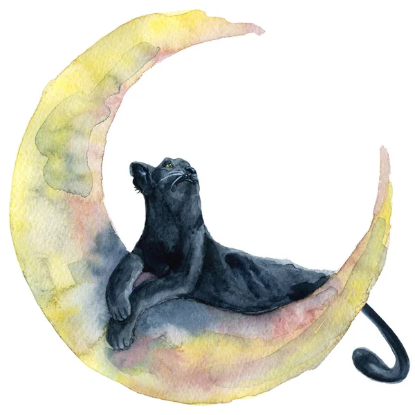 Black panther en maan fasen aquarel illustratie — Stockfoto