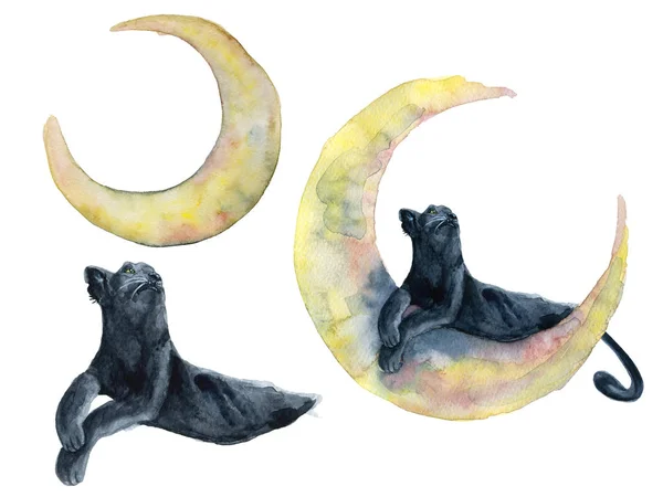 Акварельная иллюстрация фаз чёрной пантеры и луны — стоковое фото