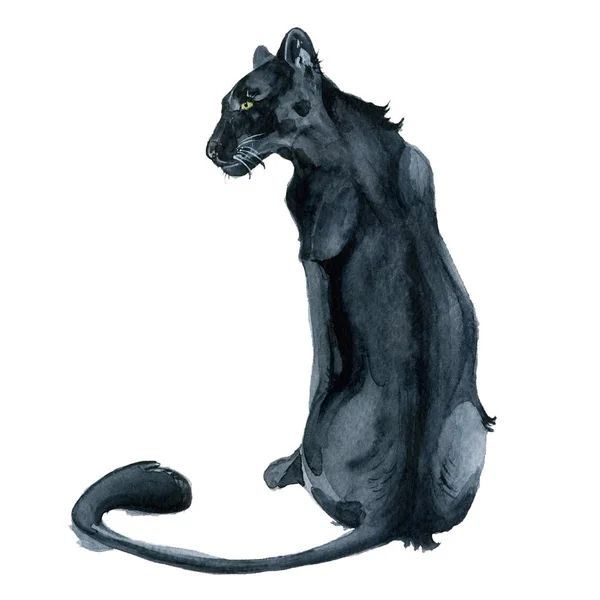Acuarela pantera negra Wiledlife ilustración — Foto de Stock