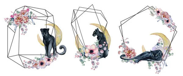 Geometric botanical design frame. Wild panther, moons, flowers, leaves and herbs.