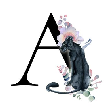  Çiçek suluboya alfabe. Şakayık ve anemon çiçeği ve Kara Panter Monogram ilk harfleri bir tasarım el ile çizilmiş