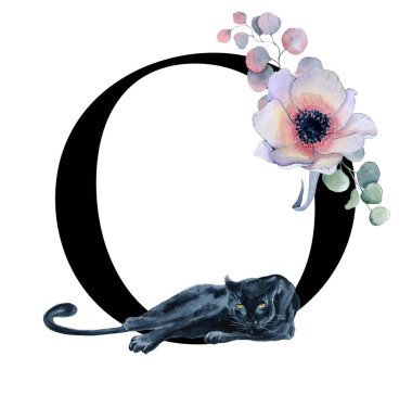  Çiçek suluboya alfabe. Şakayık ve anemon çiçeği ve Kara Panter Monogram ilk harfini O tasarım el ile çizilmiş