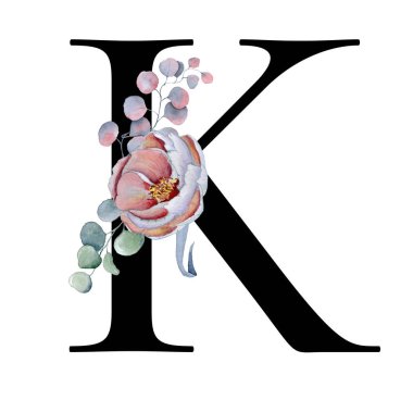  Çiçek suluboya alfabe. Şakayık ve anemon çiçeği ve Kara Panter Monogram ilk harf K tasarım el ile çizilmiş
