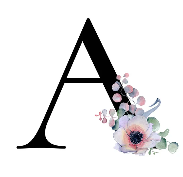 Alfabet floral de acuarelă. Monogramă literă inițială Un design cu bujor desenat manual și floare anemonă și panteră neagră — Fotografie, imagine de stoc