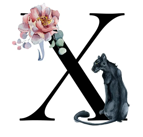 Çiçek suluboya alfabe. Şakayık ve anemon çiçeği ve Kara Panter Monogram ilk harf X tasarım el ile çizilmiş — Stok fotoğraf