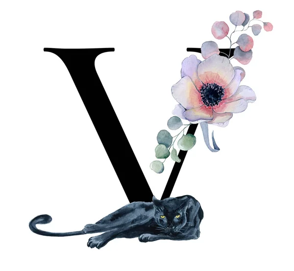 Floral ακουαρέλα αλφάβητο. Μονόγραμμα αρχικό γράμμα V σχεδιασμό με το χέρι που παιωνία και Ανεμώνη λουλούδι και μαύρο πάνθηρα — Φωτογραφία Αρχείου